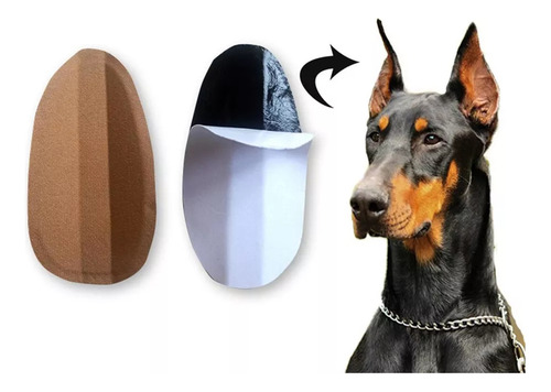 2x Mascota Perro Oreja Soporte Corrector Herramienta Perro