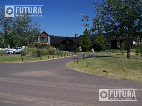 Imagen 4 de 10 de Venta Lote De Terreno En Campo Timbo