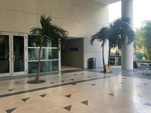 Imagen 5 de 6 de Local Con Renta En Miami - Aventura