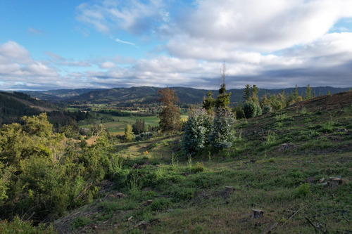 Imagen 8 de 14 de Oferta Hermoso Terreno En Lago Vichuquén - Vista Al Lago