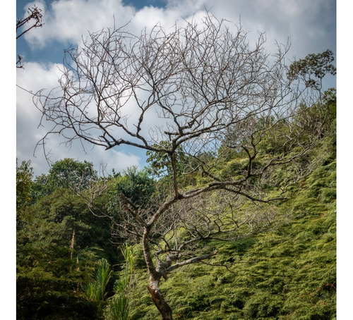 Lote En Venta Vía Chipaya, Jamundí Valle Del Cauca