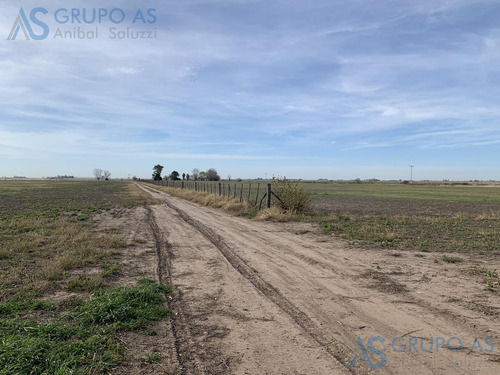 Excelente Campo Agricola De 62,73 Has.