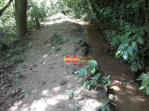 Imagem 7 de 12 de Terreno - Condomínio Jardim Das Paineiras - Te3532