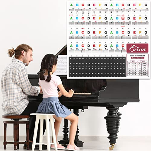 Pegatinas De Teclado De Piano Para Principiantes Pegatinas D