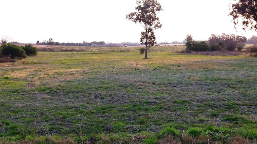 Campo 57 Hectareas Con Arroyo En Canelones