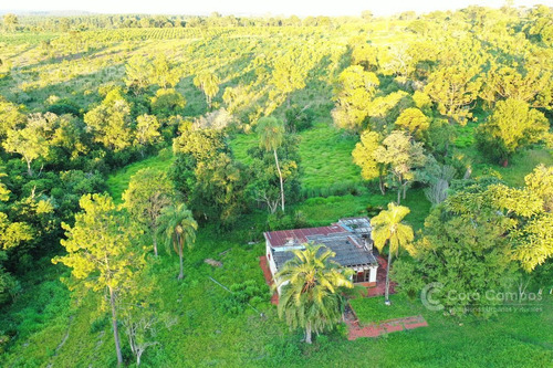 Imagen 10 de 20 de Se Vende Campo 70 Ha Con Gran Casa. Santo Pipó Misiones. Arroyo Y Pino. Suelo Para Yerba.