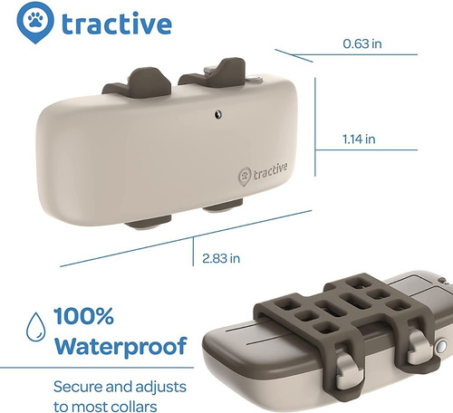 Rastreador Tec Lte Gps Ubicación Y Actividad Para Perros