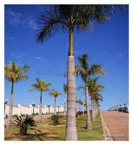 Imagem 11 de 13 de Casa Com 4 Dorms, Cidade Santos Dumont, Jundiaí - R$ 3 Mi, Cod: 4861 - V4861