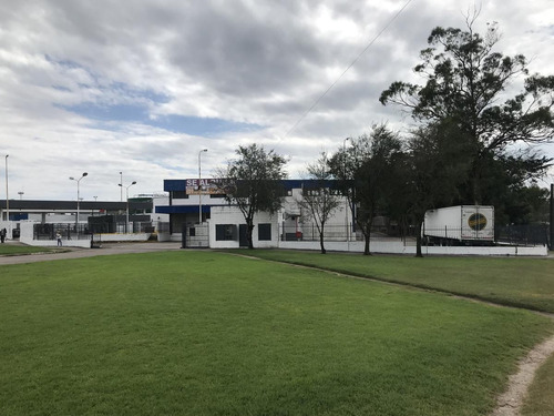 Imagen 14 de 17 de Alquiler Deposito Planta Predio Carrefour.mar Del Plata.