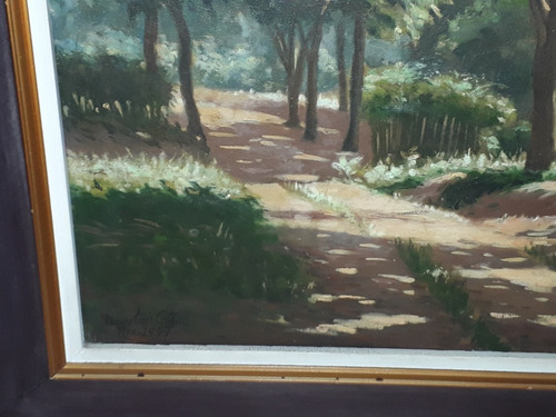 2025- Newton Costa Ost 73x65cm C/moldura. Trilha Na Mata. (Usado)