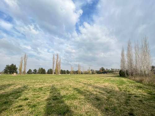 Imperdible Lote De 2.300 M2 En Los Girasoles De Luján Barrio Cerrado