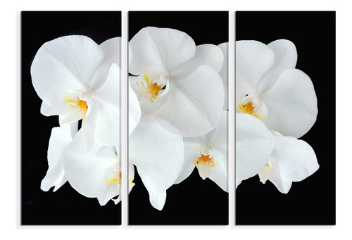 Set De 3 Cuadros Orquideas Blancas 90x130cm