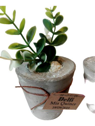 Macetita Cemento Con Plantas Sinteticas.