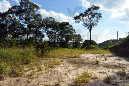Imagem 4 de 4 de Terreno Condomínio Para Venda, 6000.0m² - 33621