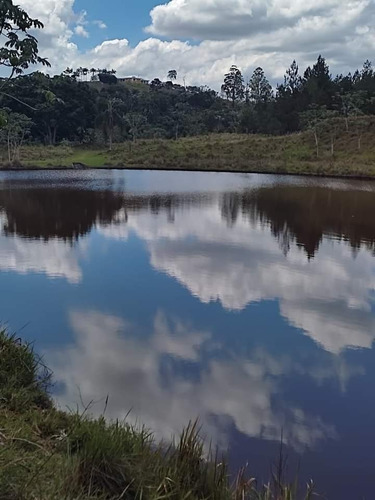 Imagem 1 de 7 de Os Melhores Lotes Você Encontra Aqui