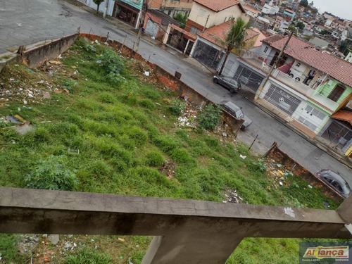Imagem 9 de 11 de Terreno Para Venda No Bairro Jardim City Em Guarulhos - Cod: Ai18552 - Ai18552