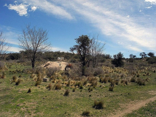 Imagen 10 de 25 de Excelente Campo Nativo De 103ha La Venta En Ojo De Agua!
