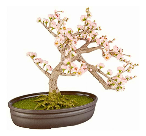 Nearly Natural 4764 Cherry Blossom Bonsai Silk Tree