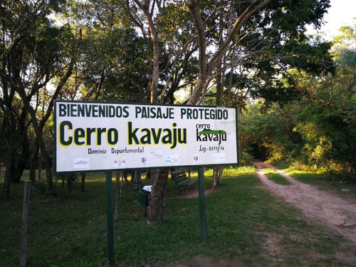 Imagen 8 de 9 de Visite Parque Kunu¿u Renda, A 7 Km. De Caacupé
