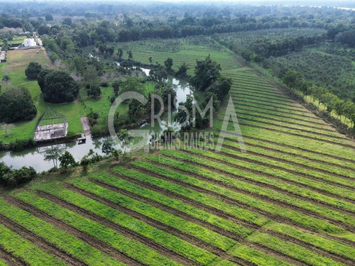 Increíbles Terrenos En Venta Frente Al Estero En Juana Moza, Tuxpan Ver.