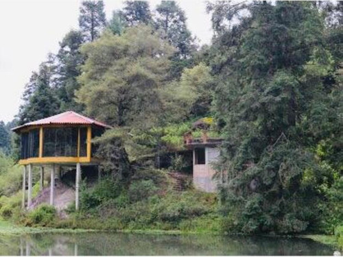 Imagen 5 de 12 de Terreno En Venta ¡todas Las Bondades Y Magestusidad Del Bosque A Tu Alcance! Lotes A Crédito