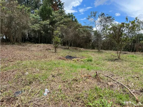 Lote En Venta Rionegro-los Pinos