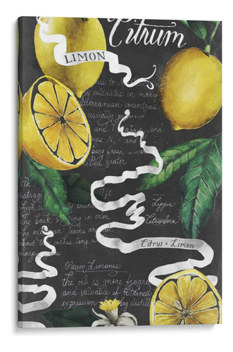 Canvas Lab Cuadro Pizarra Cítrica I 30x45, Grace Popp