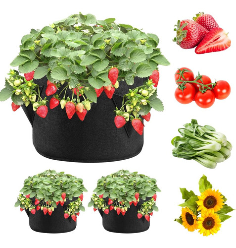 Bolsas De Cultivo De Fresas Ipower Paquete De 2 Galones De 3