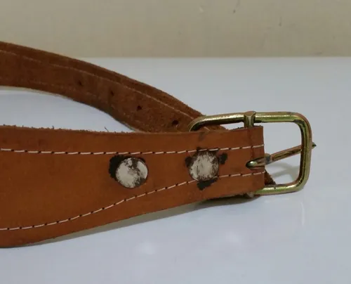 Correa Para Perro De Cuero