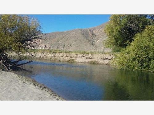 Imagen 6 de 10 de Se Vende 5 Ha Todo Alambrado En Fofocahuel ,ruta 35,chubut