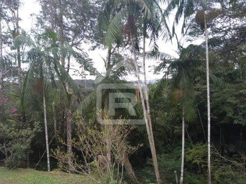 Imagem 3 de 30 de Chacara Com Piscina - 136 - 69291694