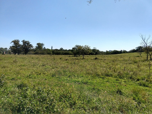 Chácara 20.000 M² - Costa Do Ipiranga - Gravataí - Rs - 1757 - 32430255