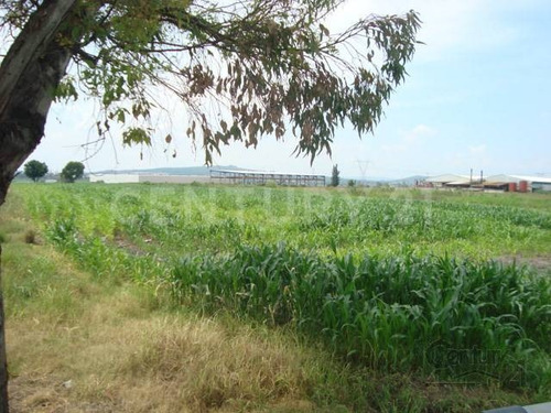 Imagen 2 de 6 de Terreno En Venta 15,000.0 M²,la Calera, Tlajomulco De Zúñiga, Jalisco