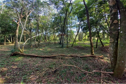 Imagen 3 de 14 de Terreno Con Arroyo