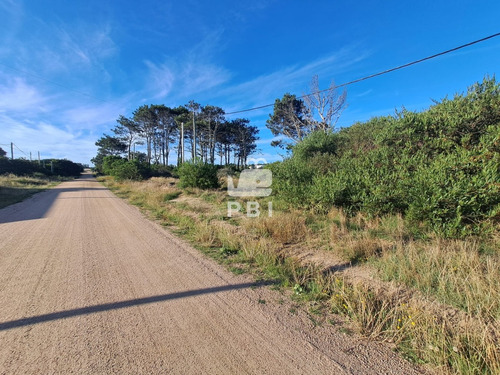 Terreno En Balneario De Buenos Aires - Ref : Pbi13062