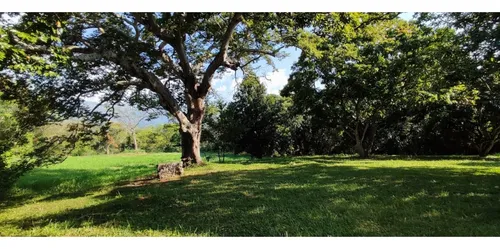 Venta De Lote En Sopetran