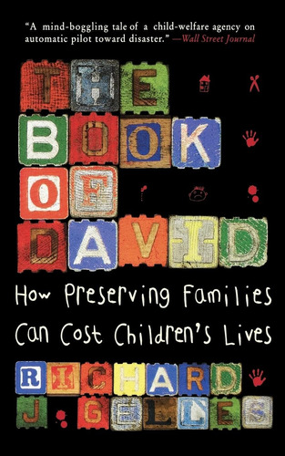 Libro: The Book Of David: How Preserving Families Can Cost