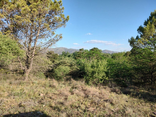 Imagen 3 de 30 de Terrenos En Venta En Villa Giardino
