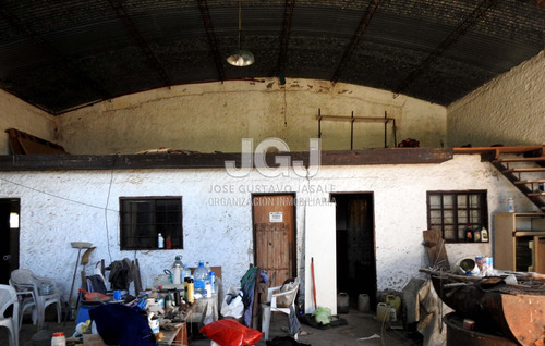 Imagen 10 de 11 de 4 Has Con Casa - Bavio, Magdalena, Pcia Buenos Aires