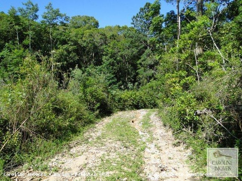 Imagem 10 de 15 de Área Rural Para Venda Em Mariana Pimentel, Linha Preta - Mariana Pimentel - 1148_1-731320