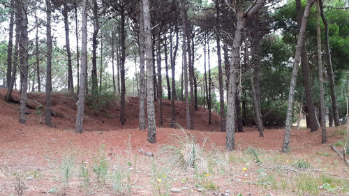 Imagen 6 de 7 de Lote/terreno En Venta Zona Norte Pinamar-925 M2-financia/toma Vehiculo