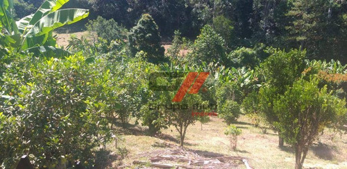 Imagem 10 de 14 de Chácara Com 2 Dormitórios À Venda, 6000 M² Por R$ 350.000,00 - Santa Terezinha - São Luiz Do Paraitinga/sp - Ch0031