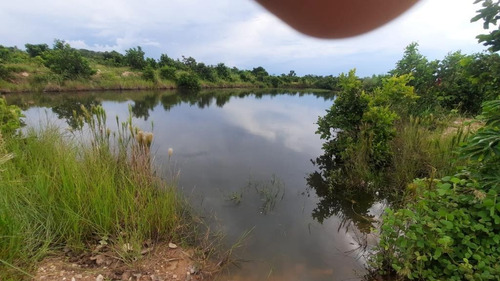 Imagem 5 de 14 de Sítio 25 Hectares - 0034