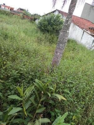 Imagem 3 de 5 de Terreno Murado No Jardim Palmeiras, Em Itanhaém 5935