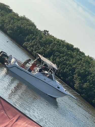 Yate Quest Modelo Saltfish 257 Walk Around