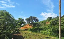 Comprar Finca Con Galpones Para Criar Pollos En Yaracal - Falcon C-14432