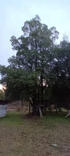 Se Vende Hermosa Parcela, De 5000 Mts 2, Parcela 51, Sector 