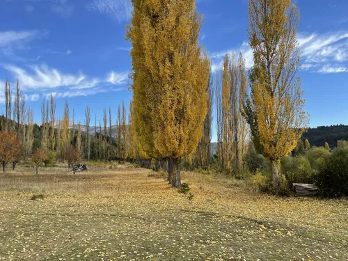 Campo 470 Ha En Ruta 40