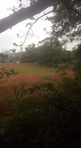 Imagem 2 de 5 de Área À Venda, 4146 M² Por R$ 990.000,00 - Jardim Tropical - Foz Do Iguaçu/pr - Ar0011