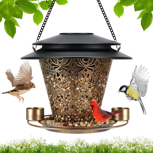 Comederos solares para pájaros colgantes al aire libre, trae tres tazas de agua, comederos metálicos de alta calidad para pájaros silvestres, a prueba de mordeduras, resistentes a la intemperie y al Comederos solares para pájaros colgantes al aire libre, trae tres tazas de agua, comederos metálicos de alta calidad para pájaros silvestres, a prueba de mordeduras, resistentes a la intemperie y al